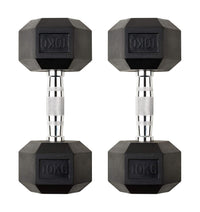 15kg Hex Dumbbell Pair