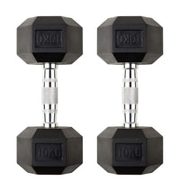 12.5kg Hex Dumbbell Pair