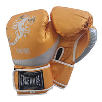 Boxing Gloves (Pair)