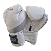 Boxing Gloves (Pair)